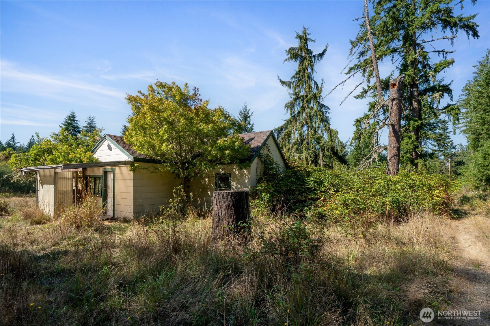 36716 Eatonville Cutoff Road East Eatonville, WA 98328 - Photo 21 of 37 a backyard of a house with lots of green space