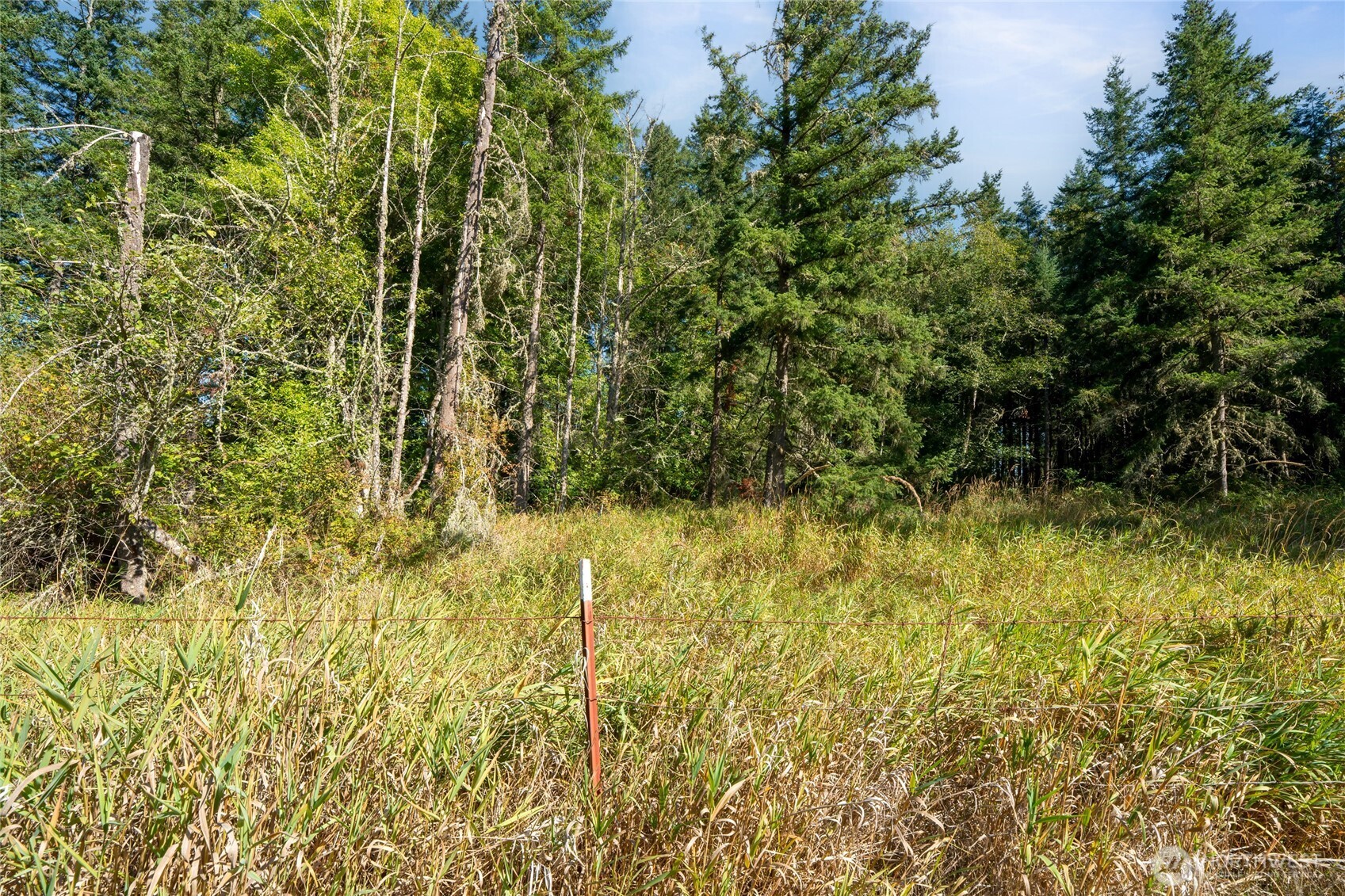 36716 Eatonville Cutoff Road East Eatonville, WA 98328 - Photo 24 of 37