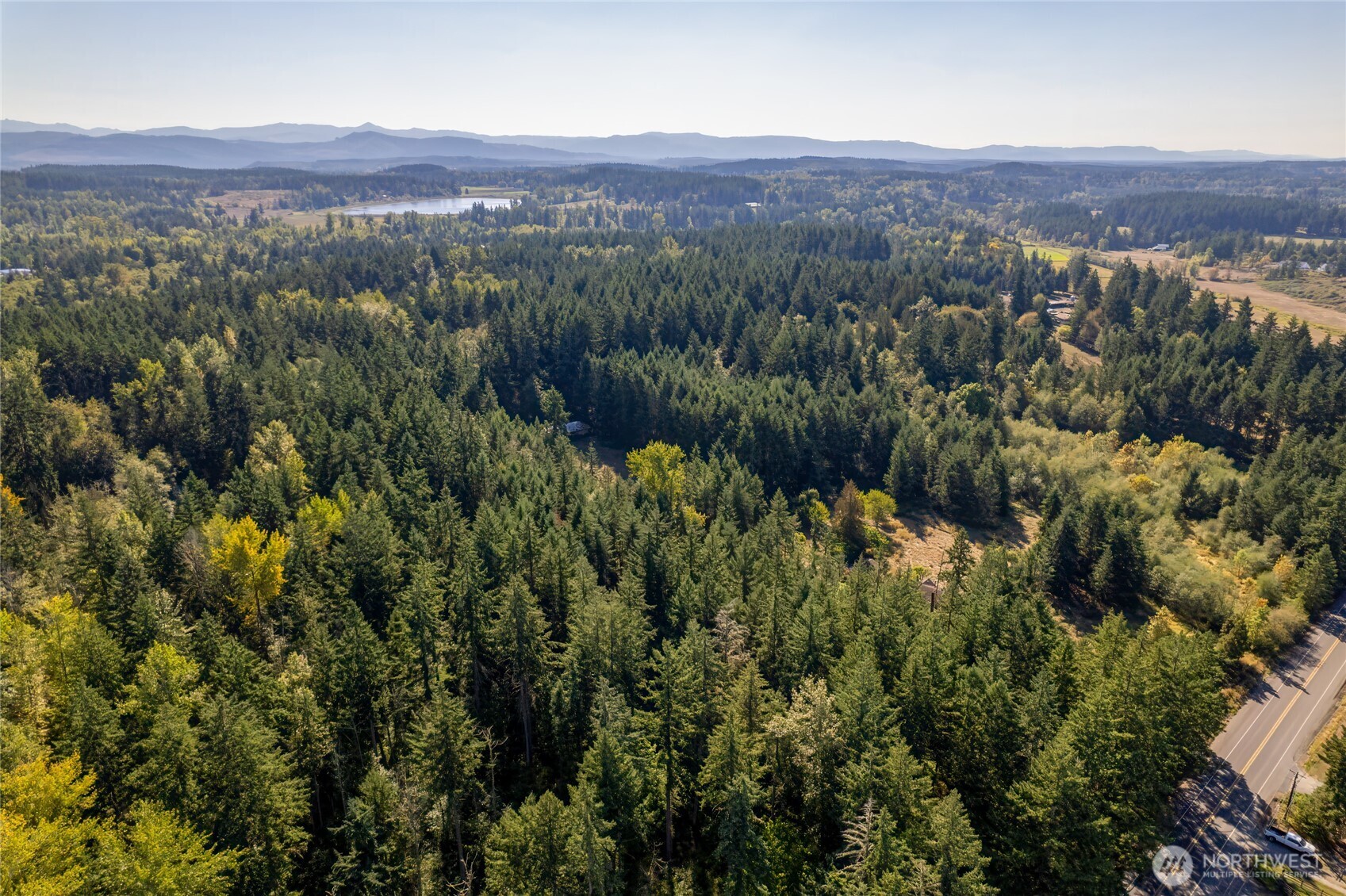 36716 Eatonville Cutoff Road East Eatonville, WA 98328 - Photo 25 of 37 an aerial view of a houses with a lush green hillside