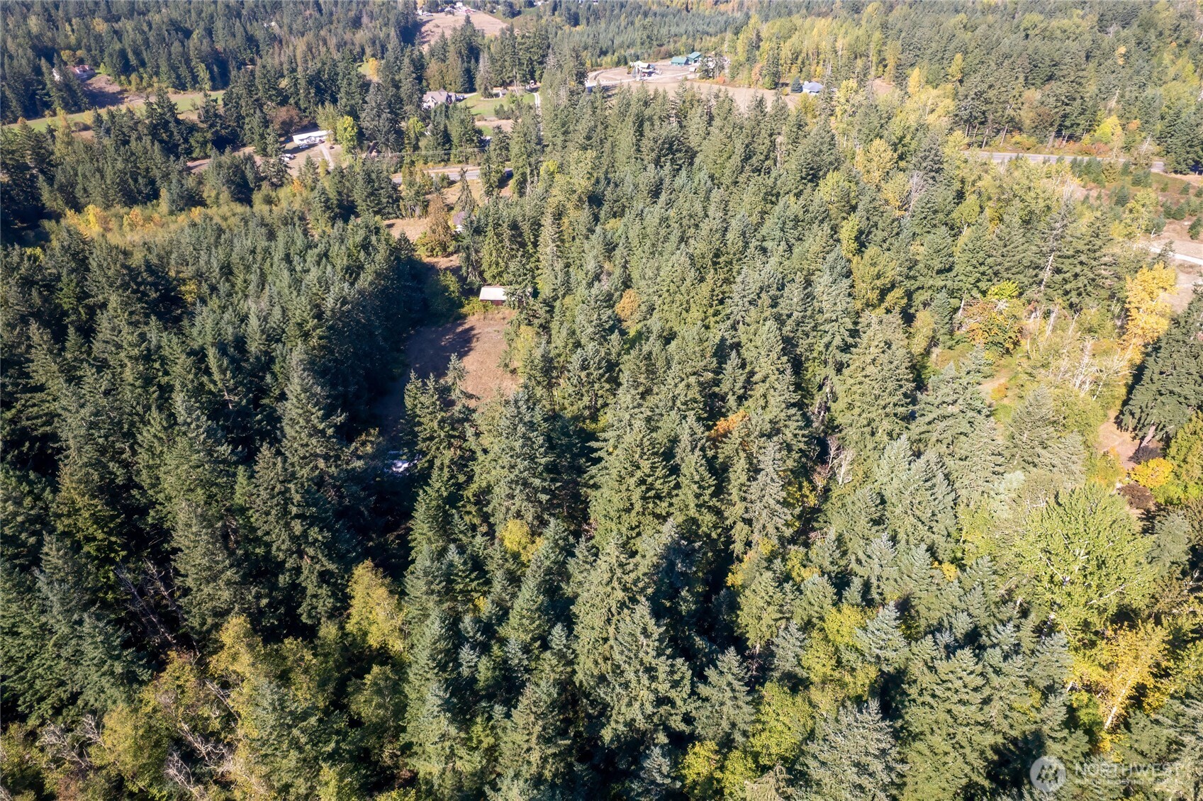 36716 Eatonville Cutoff Road East Eatonville, WA 98328 - Photo 26 of 37 a view of a house with a lush green forest