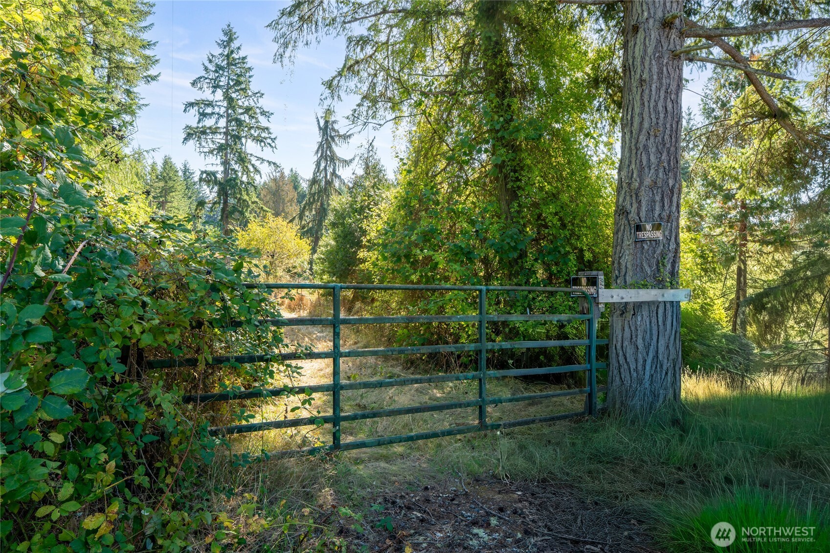 36716 Eatonville Cutoff Road East Eatonville, WA 98328 - Photo 29 of 37 a view of a yard with wooden fence