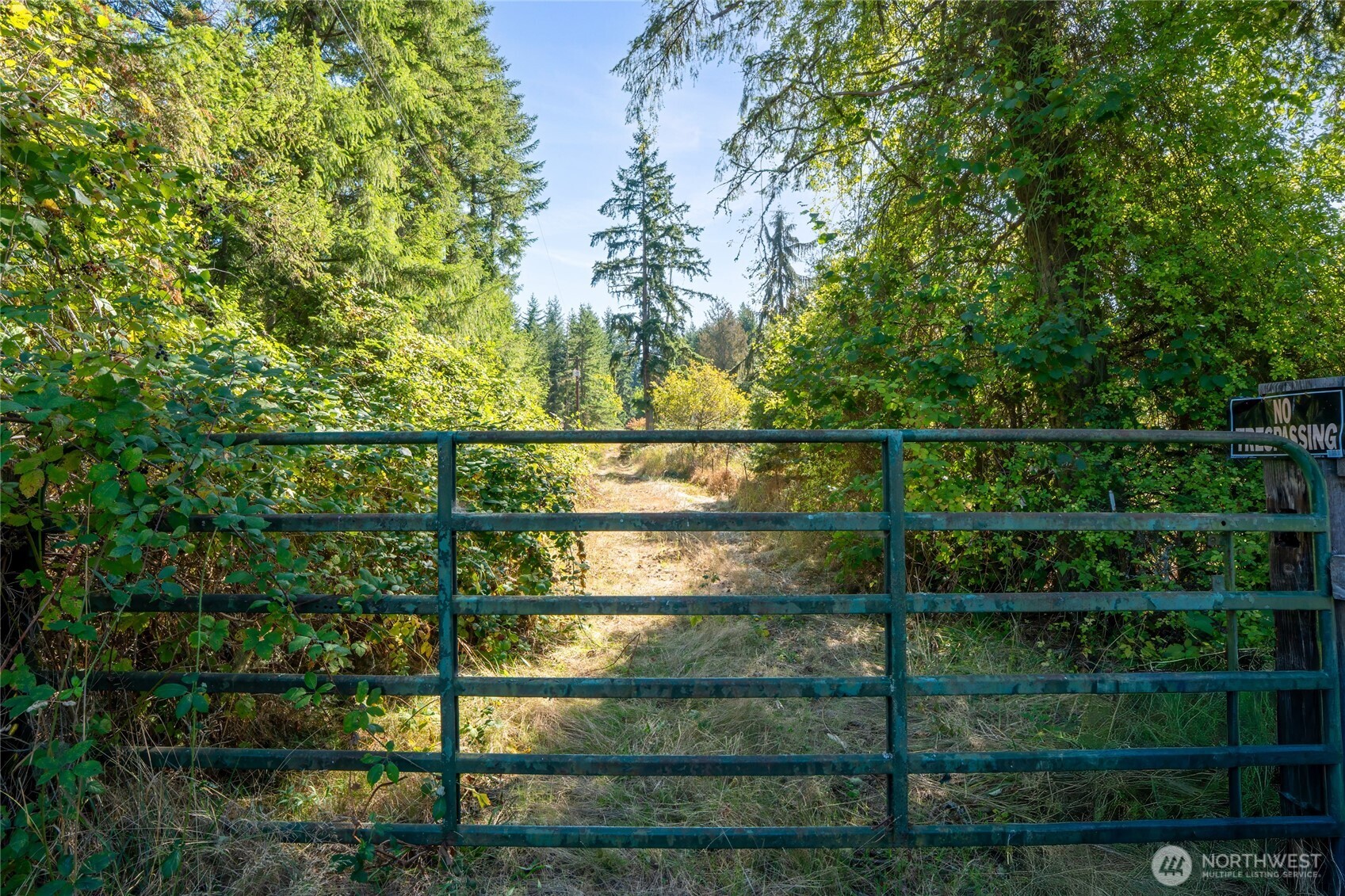 36716 Eatonville Cutoff Road East Eatonville, WA 98328 - Photo 30 of 37 a view of a fence