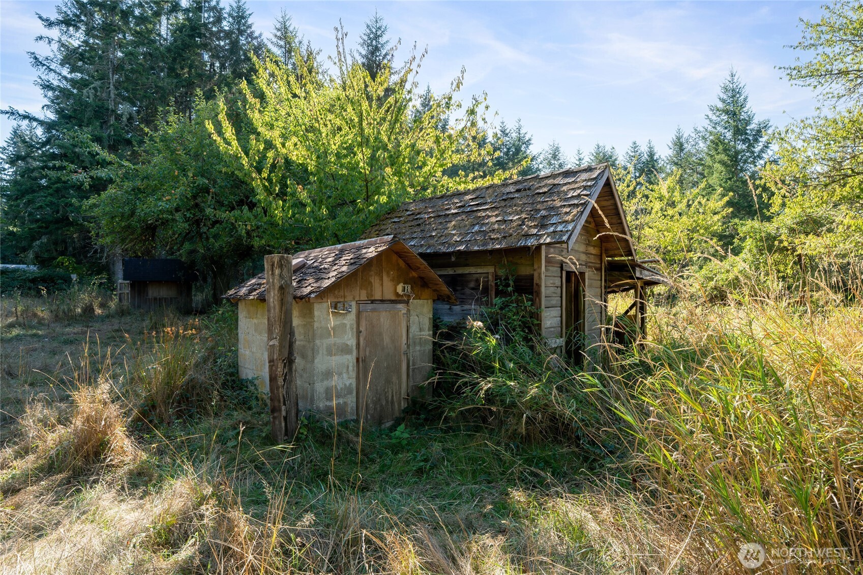 36716 Eatonville Cutoff Road East Eatonville, WA 98328 - Photo 4 of 37 a view of a house with a yard