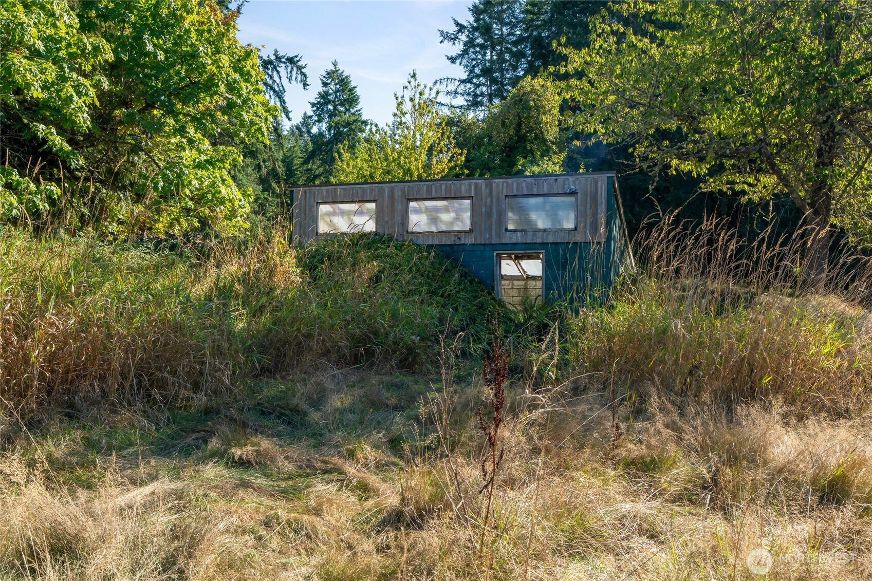 36716 Eatonville Cutoff Road East Eatonville, WA 98328 - Photo 5 of 37 a view of a brick house with a small yard and large trees