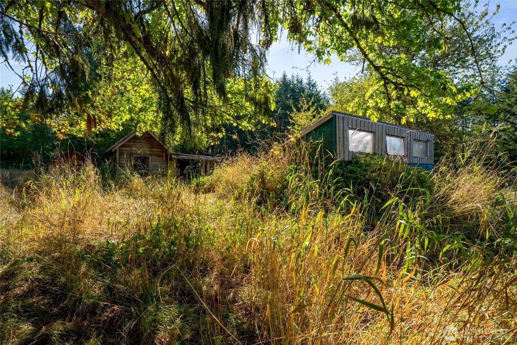36716 Eatonville Cutoff Road East Eatonville, WA 98328 - Photo 6 of 37 a view of a garden