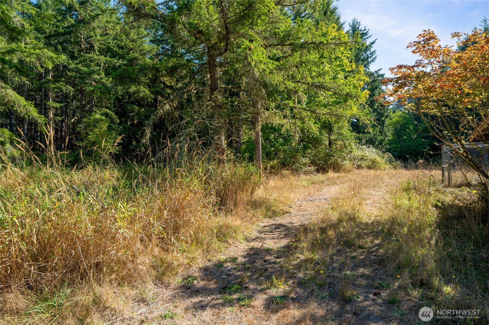 36716 Eatonville Cutoff Road East Eatonville, WA 98328 - Photo 7 of 37 a view of a yard with plants and trees