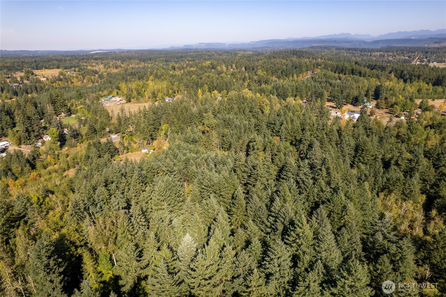 36716 Eatonville Cutoff Road East Eatonville, WA 98328 - Photo 10 of 37 a view of a city with lush green forest