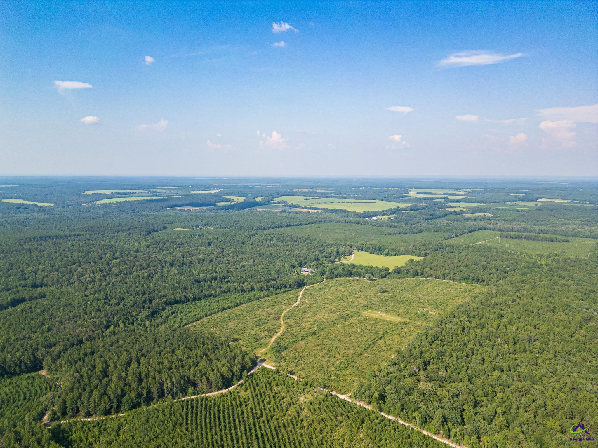 Southland Road Butler, GA 31006 - Photo 20 of 68