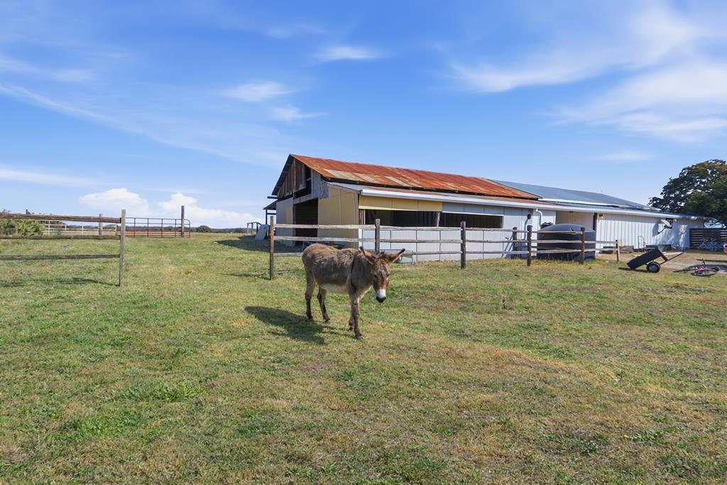3764 Ranch Road 1623 Blanco, TX 78606 - Photo 61 of 71