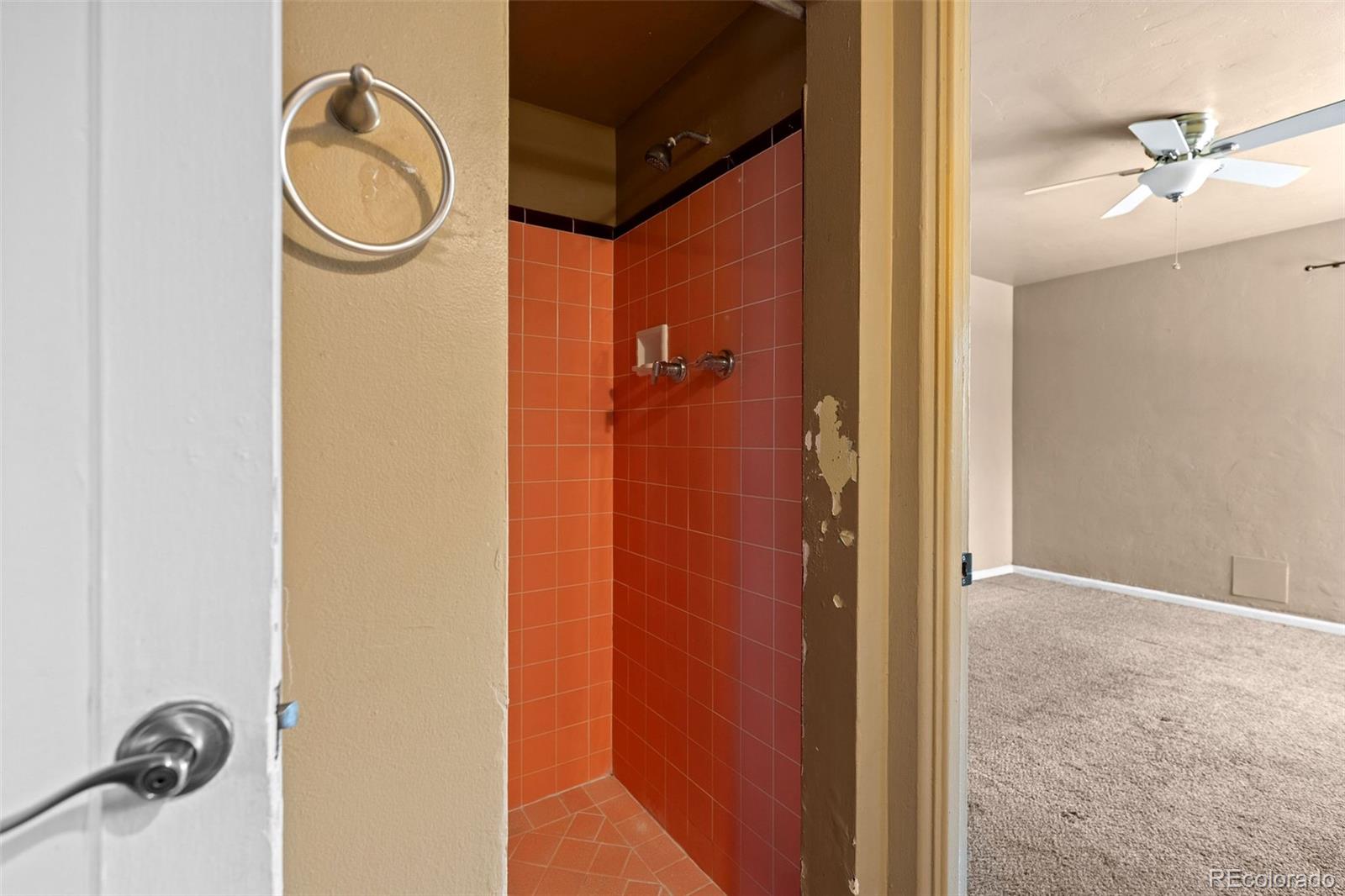 1283 Racine Street Aurora, CO 80011 - Photo 17 of 25 a bathroom with a mirror and a shower