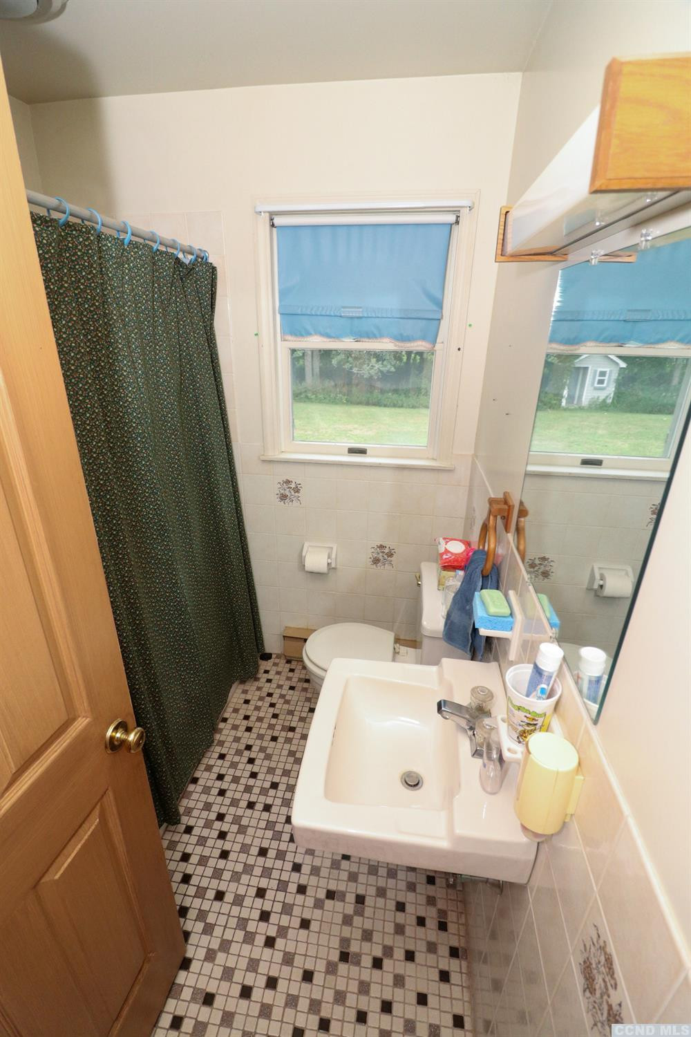 33 Viewmont Road Copake, NY 12516 - Photo 19 of 26 a bathroom with a sink a mirror and a shower