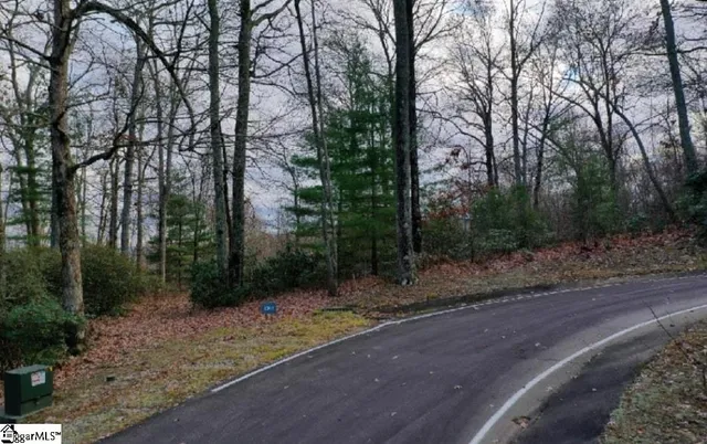 $20,000 | 124 Mossy Glen Drive, Landrum, SC 29356