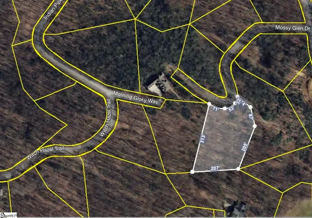 $20,000 | 124 Mossy Glen Drive, Landrum, SC 29356