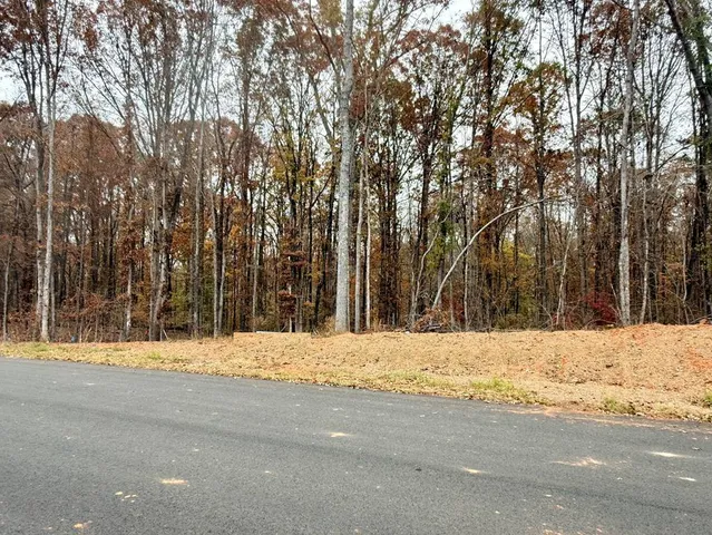 a view of snow on a road