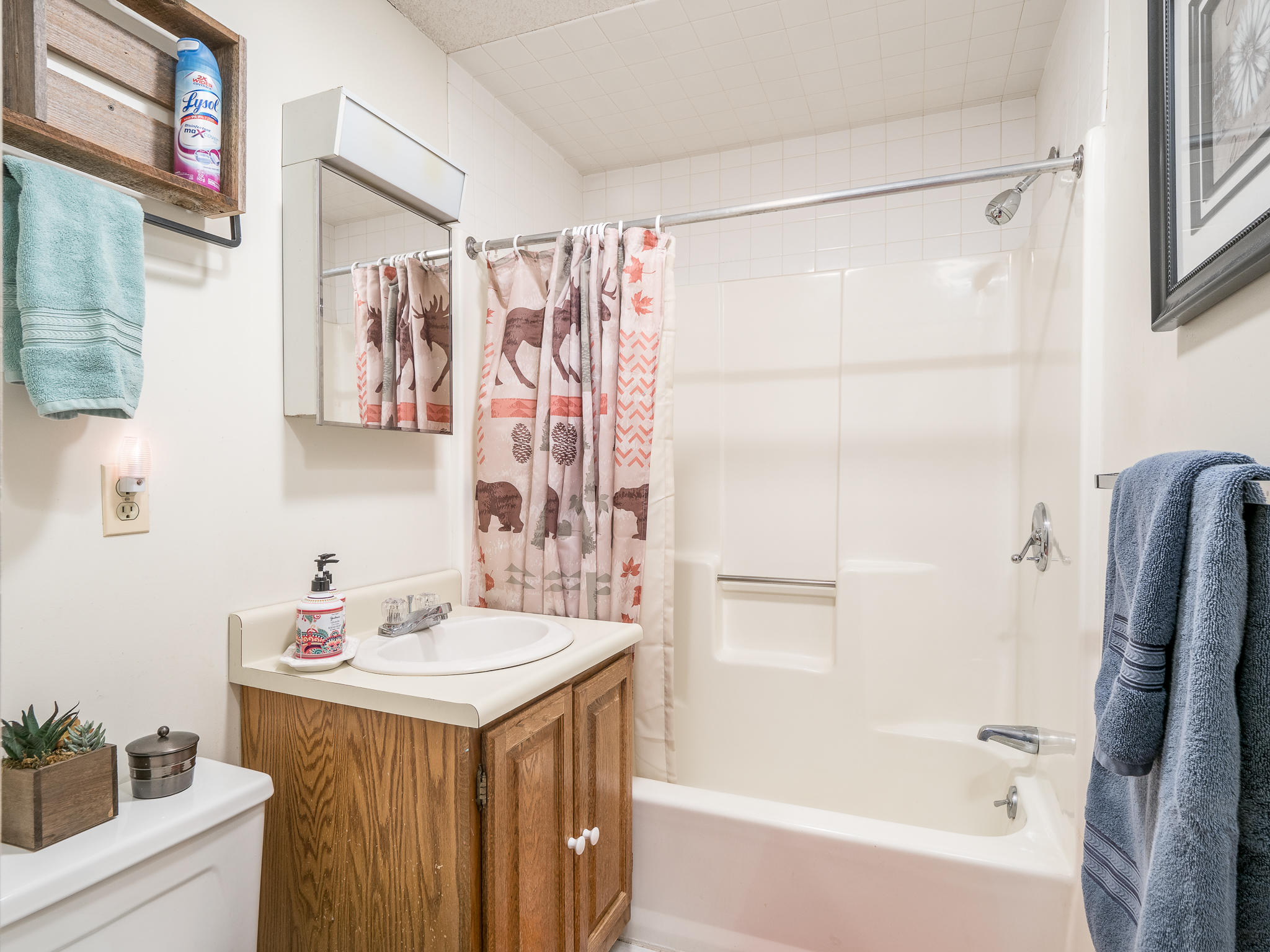78 Ridge Run Road, Unit F4 Newry, ME 04261 - Photo 22 of 22 South ridge F4-22