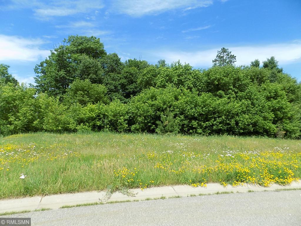 Tbd Timber Ridge Lane Grand Rapids, MN 55744 - Photo 1 of 1 Gallery Image 1