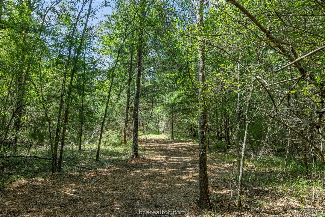Tbd Weber Road Bryan, TX 77808 - Photo 28 of 43
