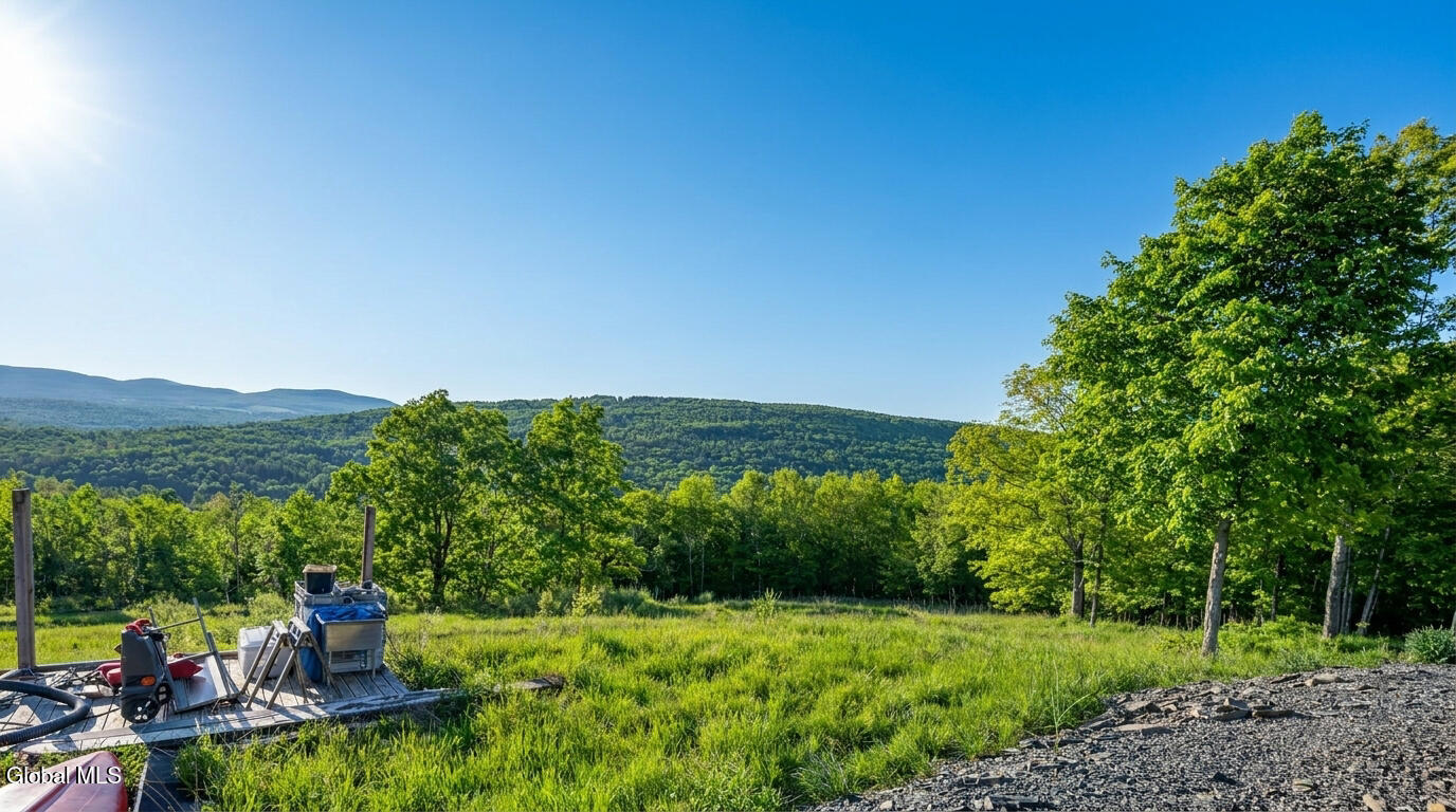 L10.10 Cheese Hill Road Preston Hollow, NY 12469 - Photo 18 of 56 10.10-Cheese-Hill-Rd-Rensselaerville-ext