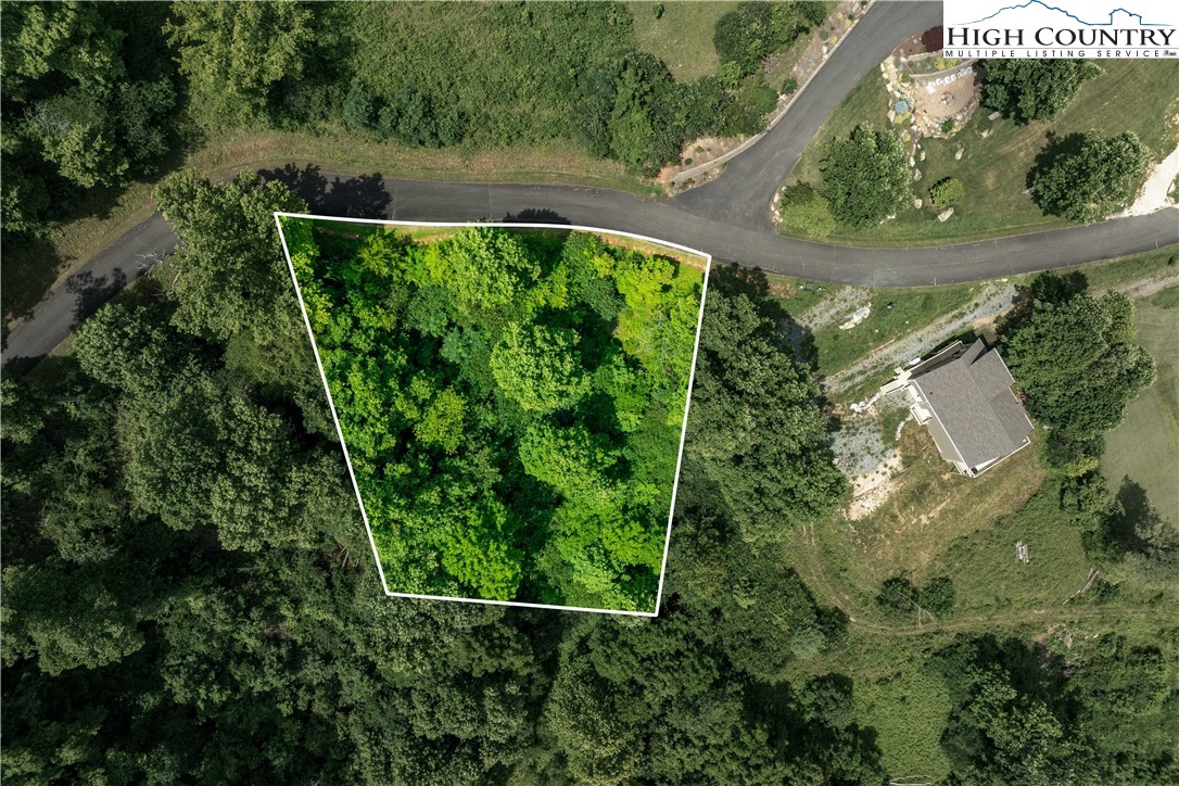 Lot 10 Lake Ridge Butler, TN 37640 - Photo 1 of 24