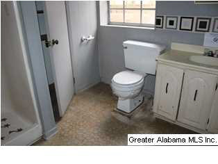 10484 Highway 17 Alabaster, AL 35114 - Photo 13 of 18