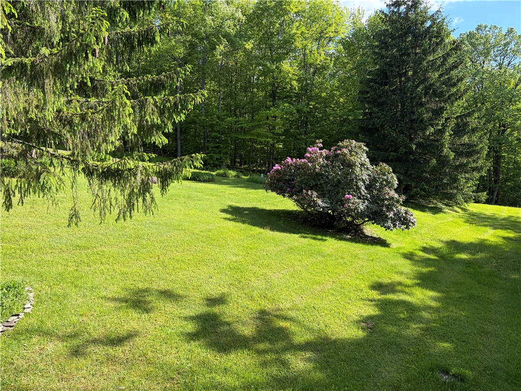 559 Mott Hill Road Edmeston, NY 13335 - Photo 8 of 40