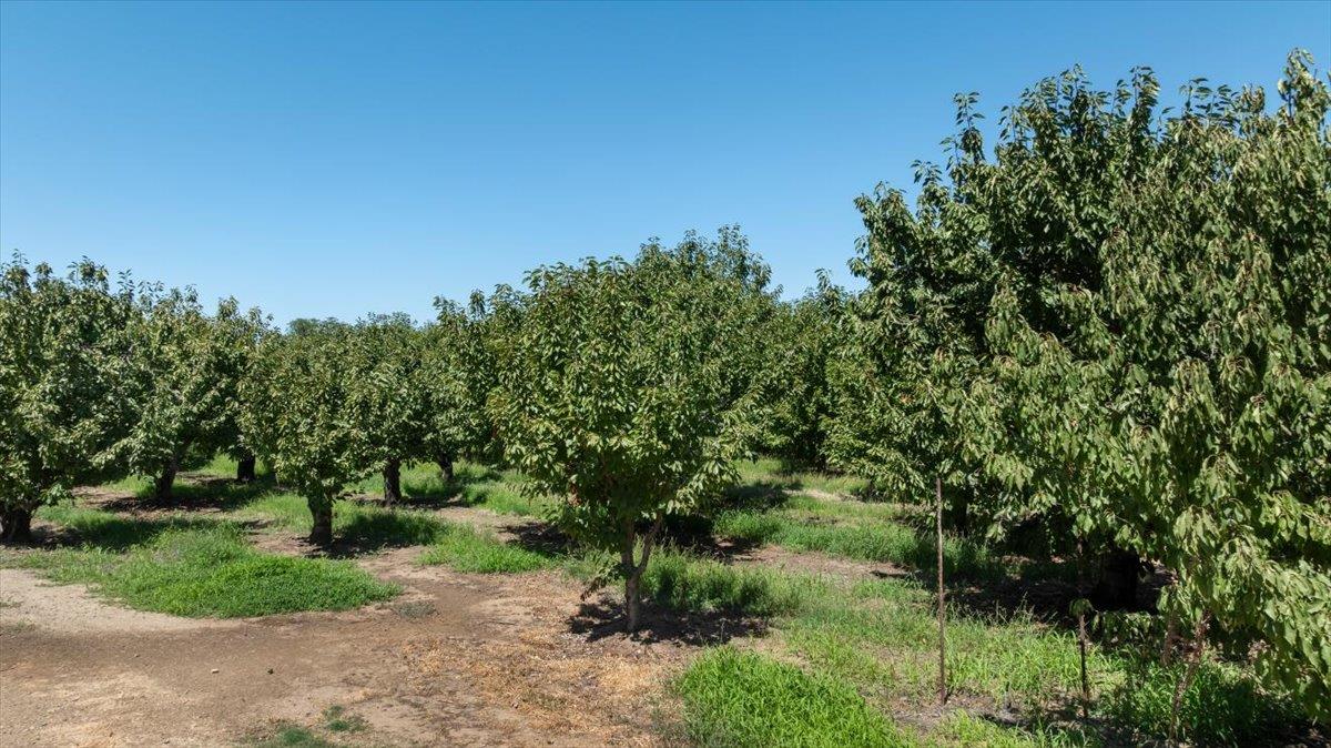 8600 Duncan Road Linden, CA 95236 - Photo 10 of 13 Gallery Image 10