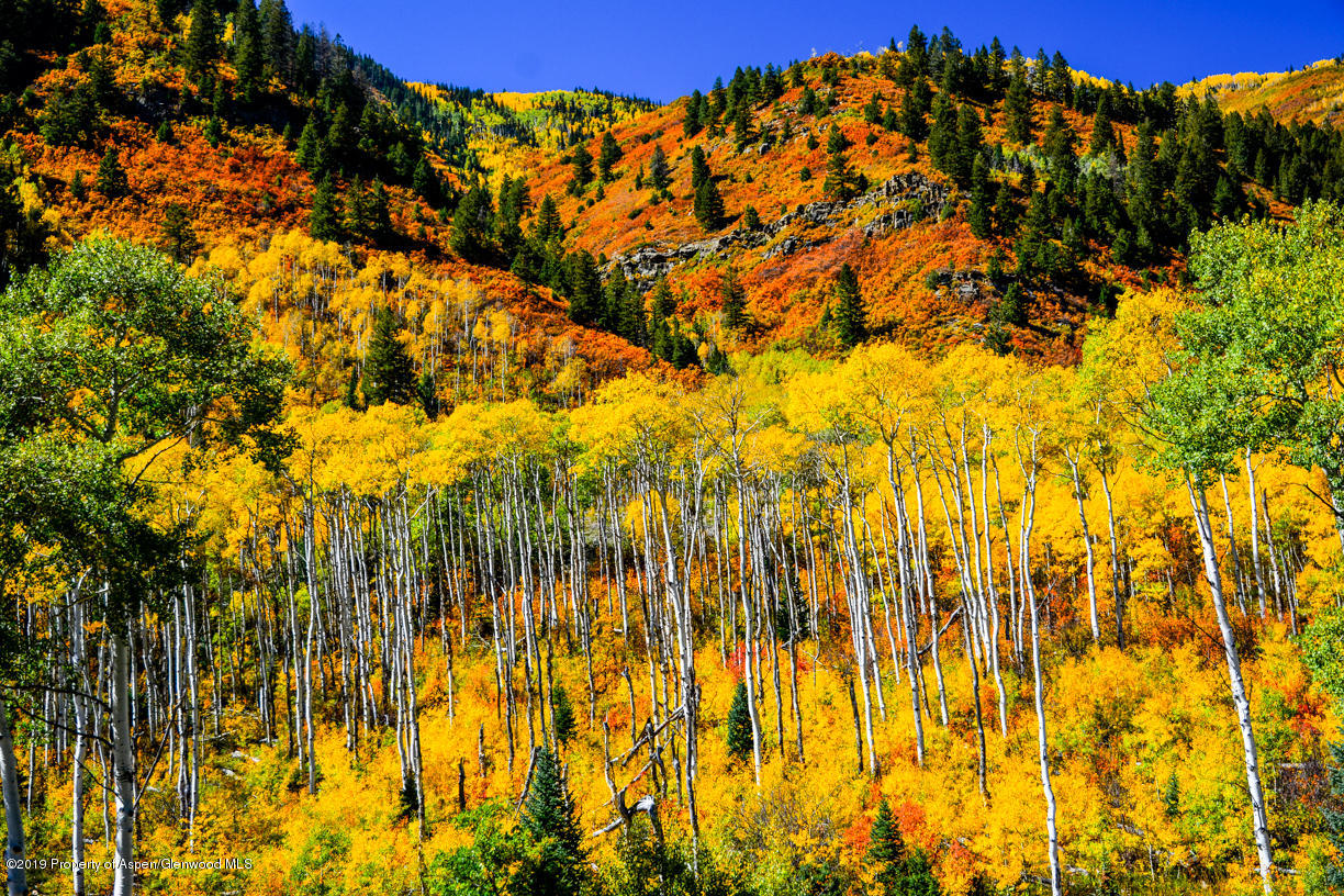 11526 Frying Pan Road Basalt, CO 81621 - Photo 10 of 21 _DSC6832