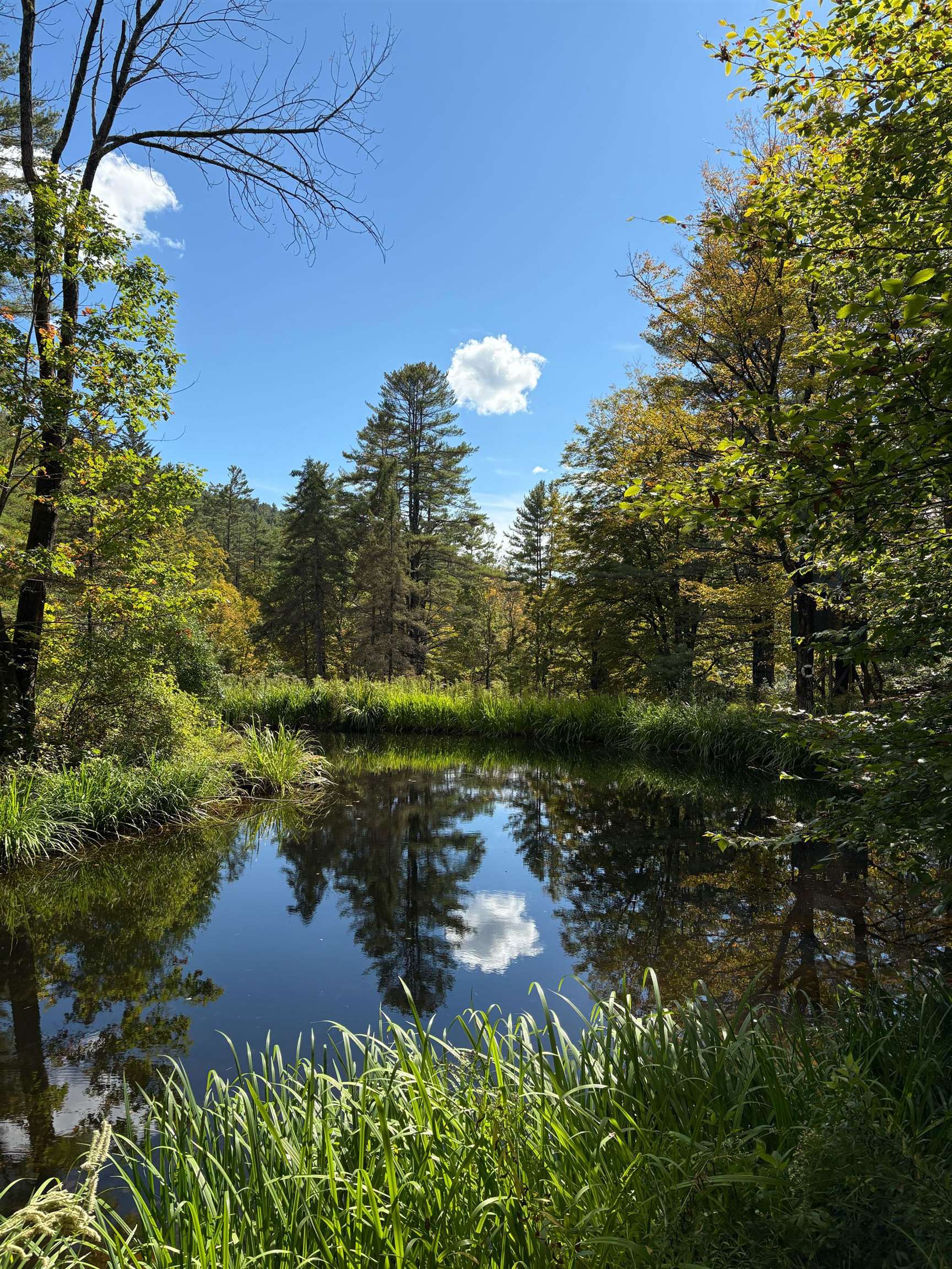 1135 Fay Brook Road Sharon, VT 05065 - Photo 7 of 36