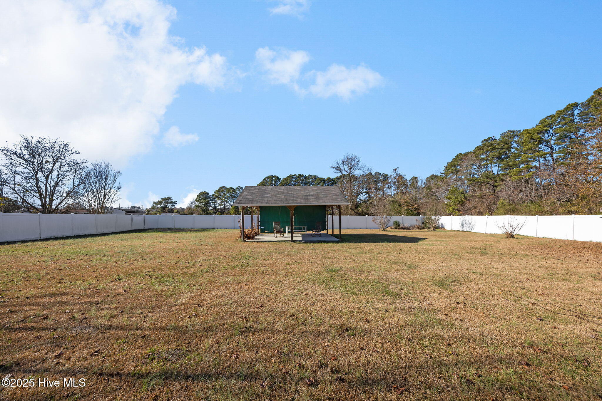 4418 Frog Level Road Winterville, NC 28590 - Photo 45 of 55 Back yard