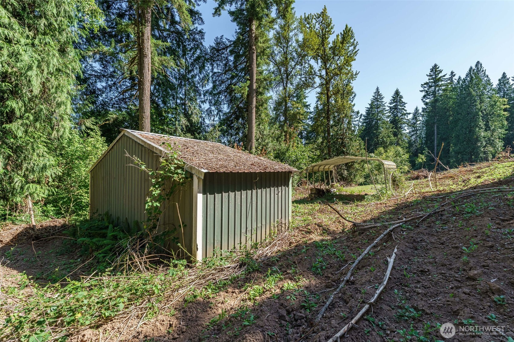 0 Northeast Johnson Road La Center, WA 98629 - Photo 14 of 27 a view of a backyard with trees