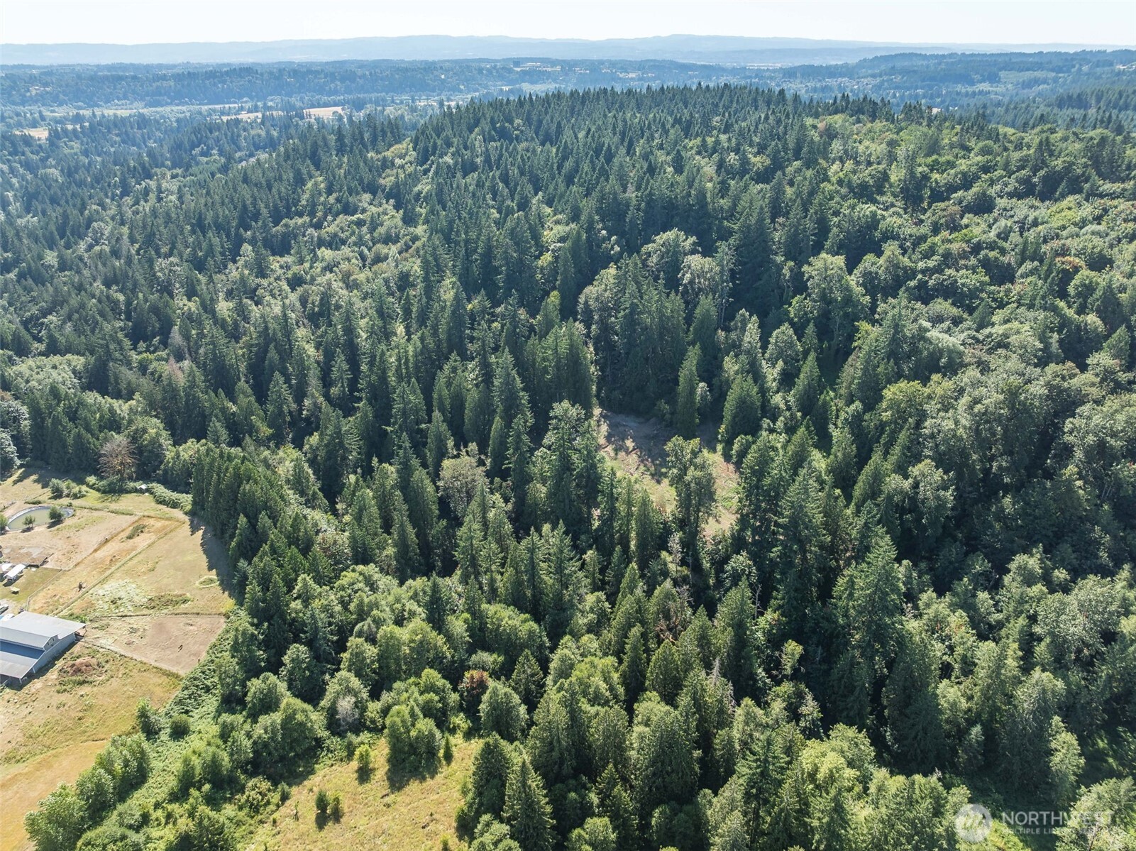 0 Northeast Johnson Road La Center, WA 98629 - Photo 17 of 27 an aerial view of a houses with a lush green hillside