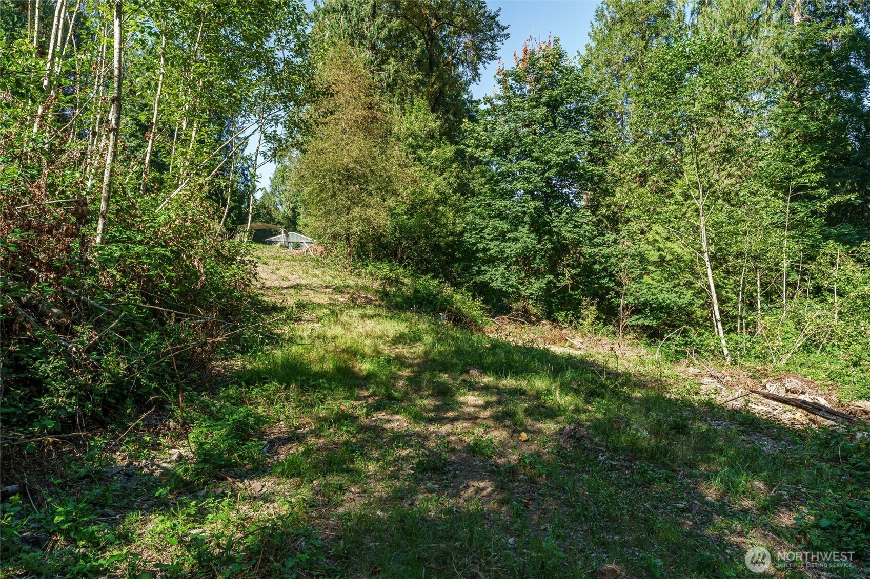 0 Northeast Johnson Road La Center, WA 98629 - Photo 2 of 27 a view of a lush green forest