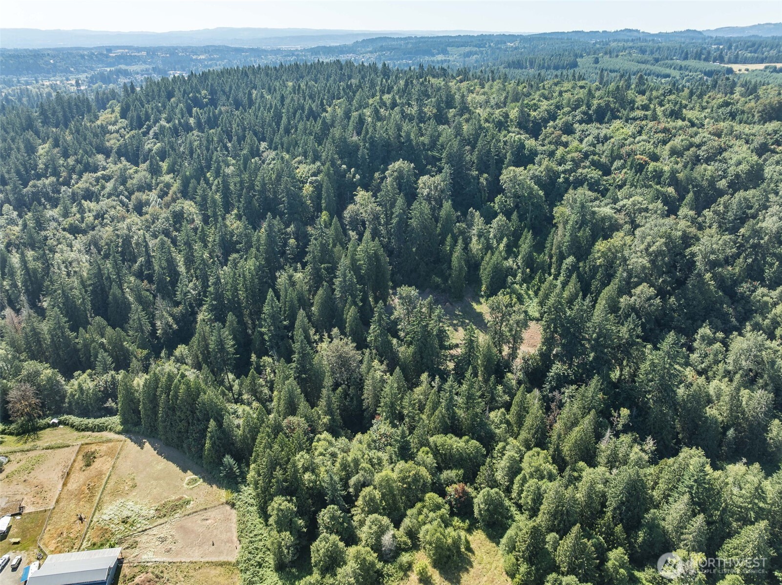0 Northeast Johnson Road La Center, WA 98629 - Photo 21 of 27 view of a forest with a street