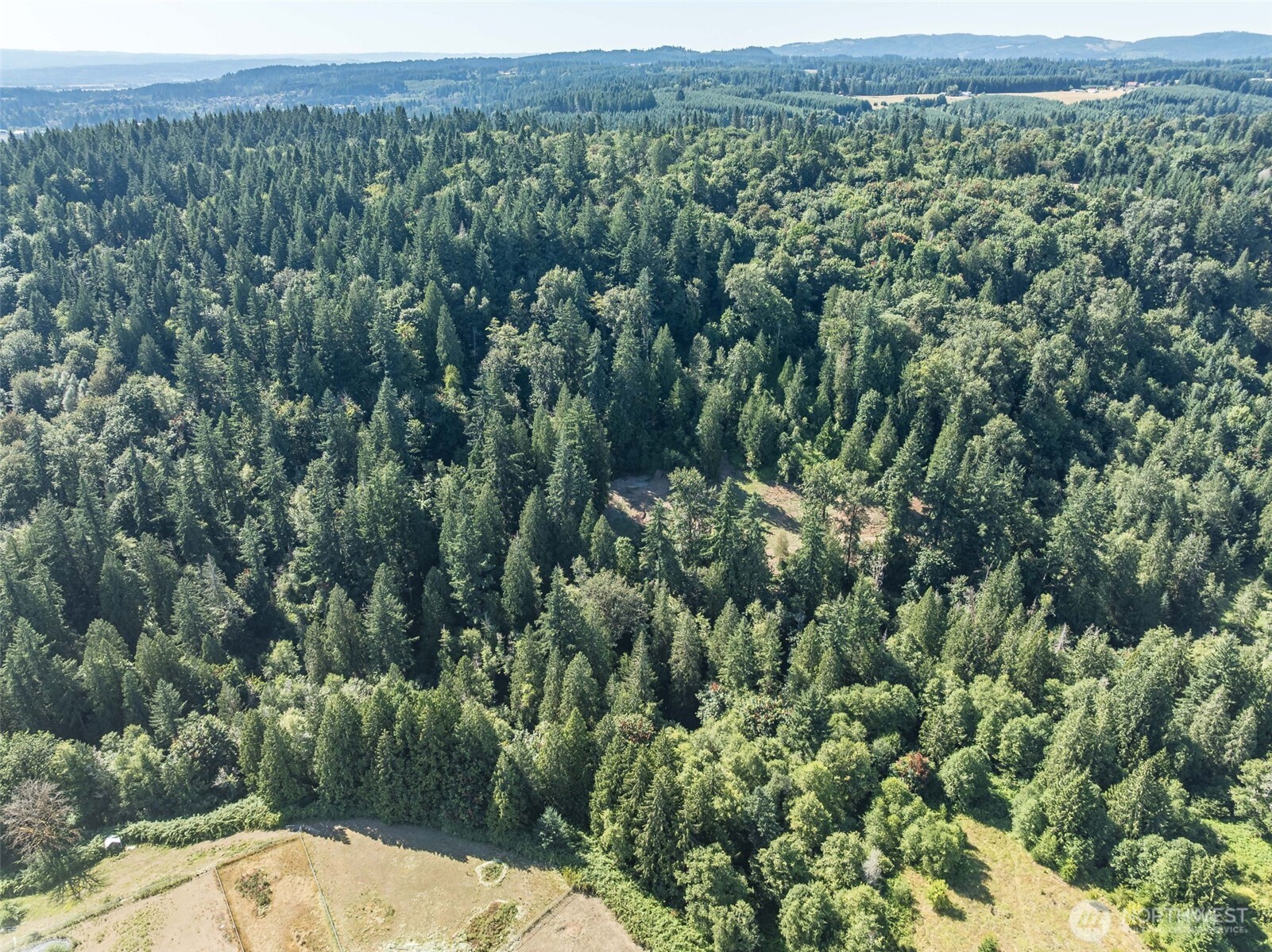 0 Northeast Johnson Road La Center, WA 98629 - Photo 22 of 27 a view of a forest with a street