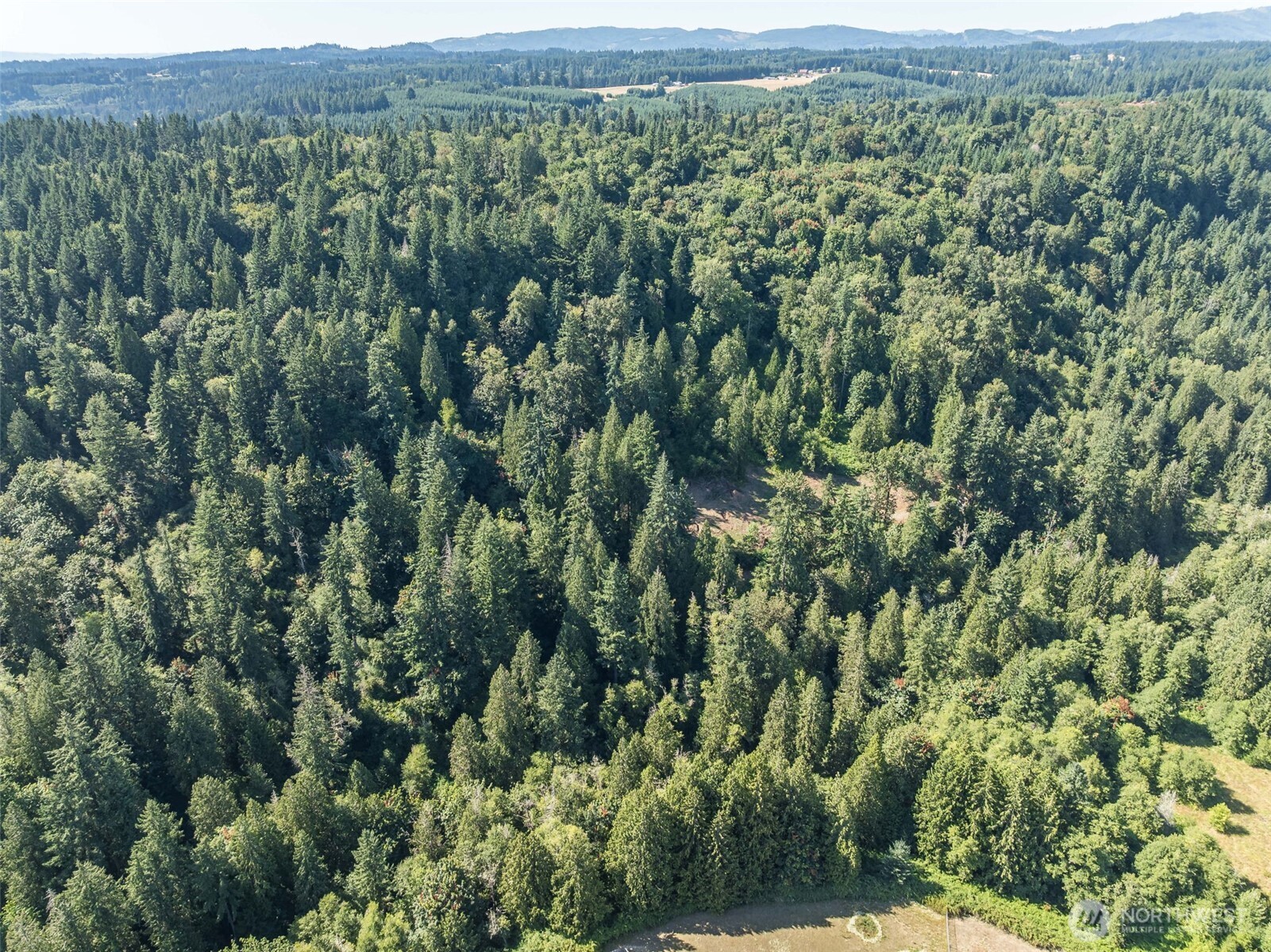0 Northeast Johnson Road La Center, WA 98629 - Photo 23 of 27 a view of a green field with lots of bushes
