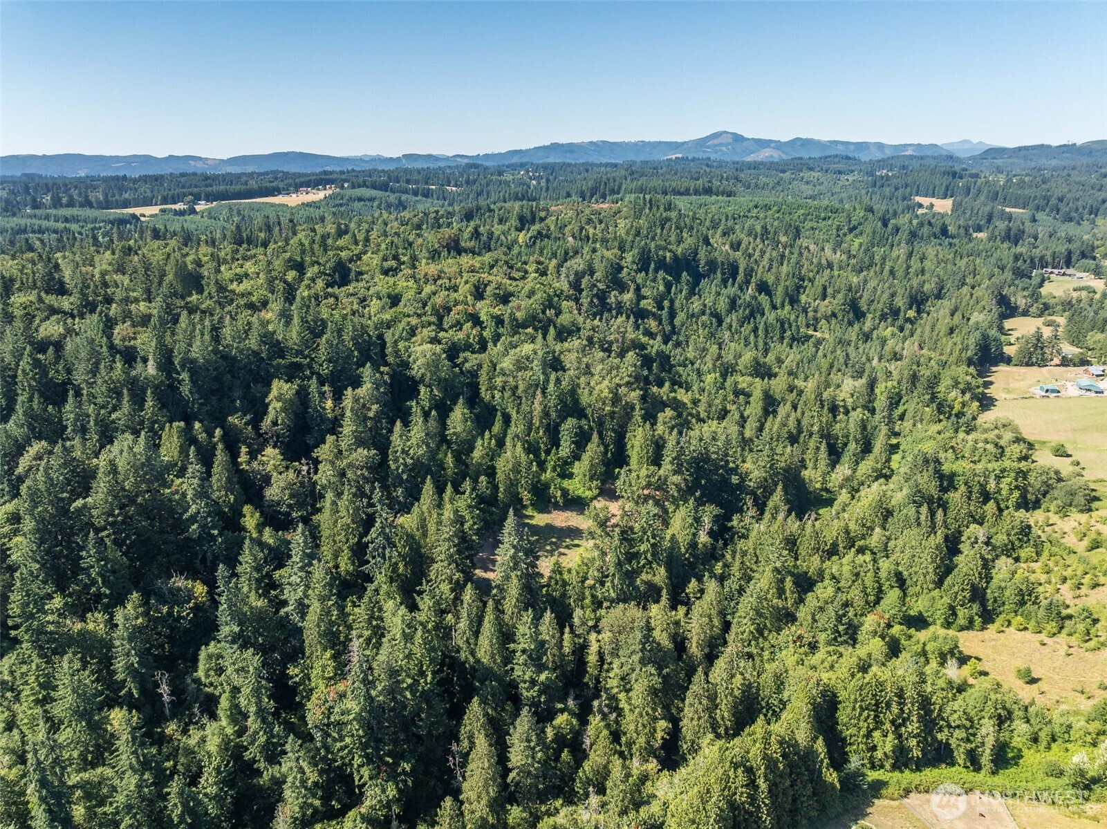 0 Northeast Johnson Road La Center, WA 98629 - Photo 24 of 27 a view of a lush green field with lots of bushes