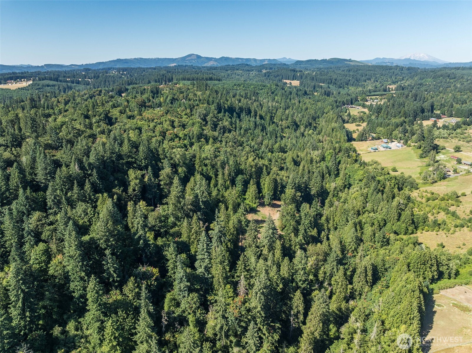 0 Northeast Johnson Road La Center, WA 98629 - Photo 25 of 27 a view of a lush green field with lots of bushes