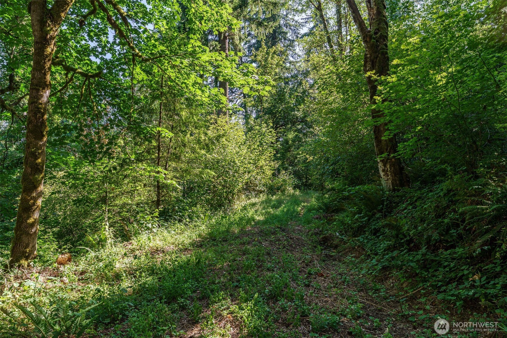 0 Northeast Johnson Road La Center, WA 98629 - Photo 5 of 27