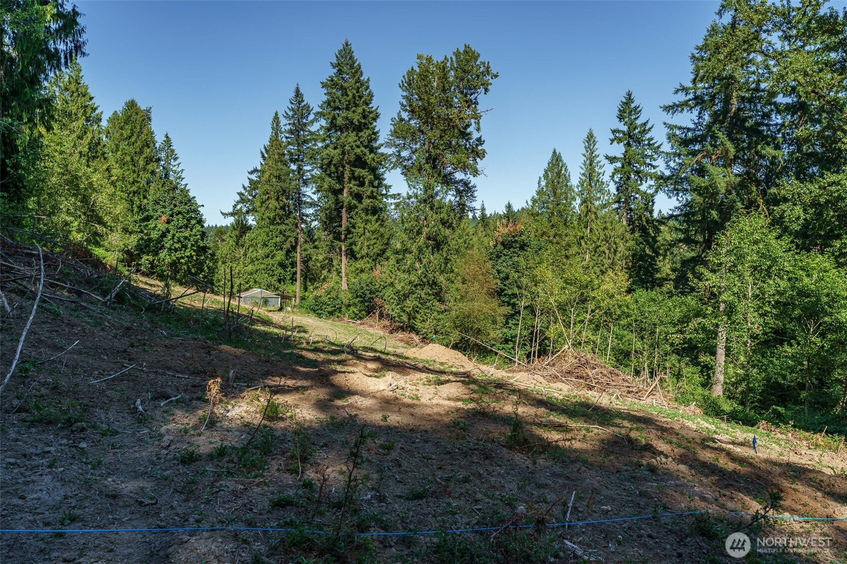 0 Northeast Johnson Road La Center, WA 98629 - Photo 7 of 27 a view of outdoor space with trees all around