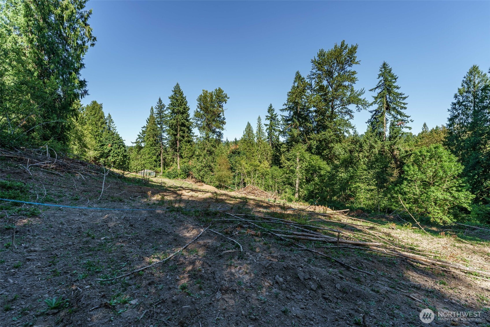 0 Northeast Johnson Road La Center, WA 98629 - Photo 8 of 27 a view of a yard with an tree