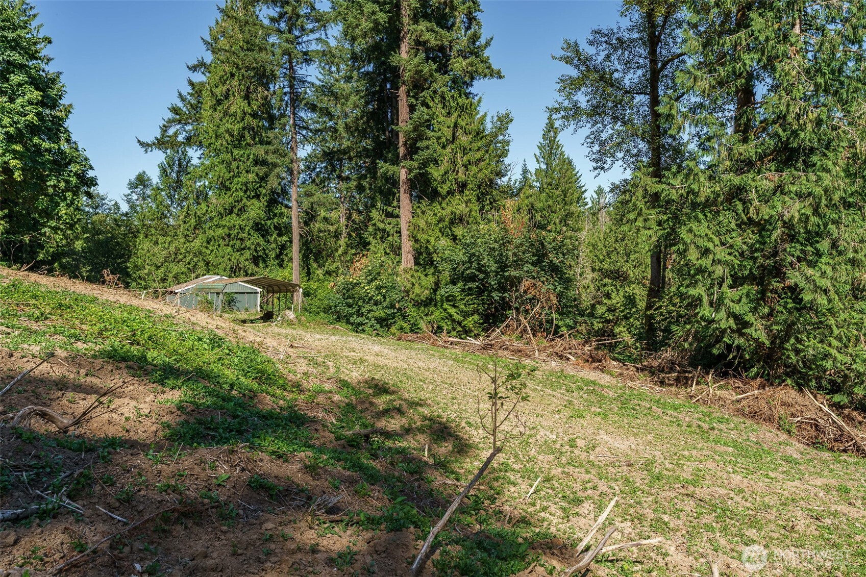 0 Northeast Johnson Road La Center, WA 98629 - Photo 9 of 27 a view of a yard with plants and trees