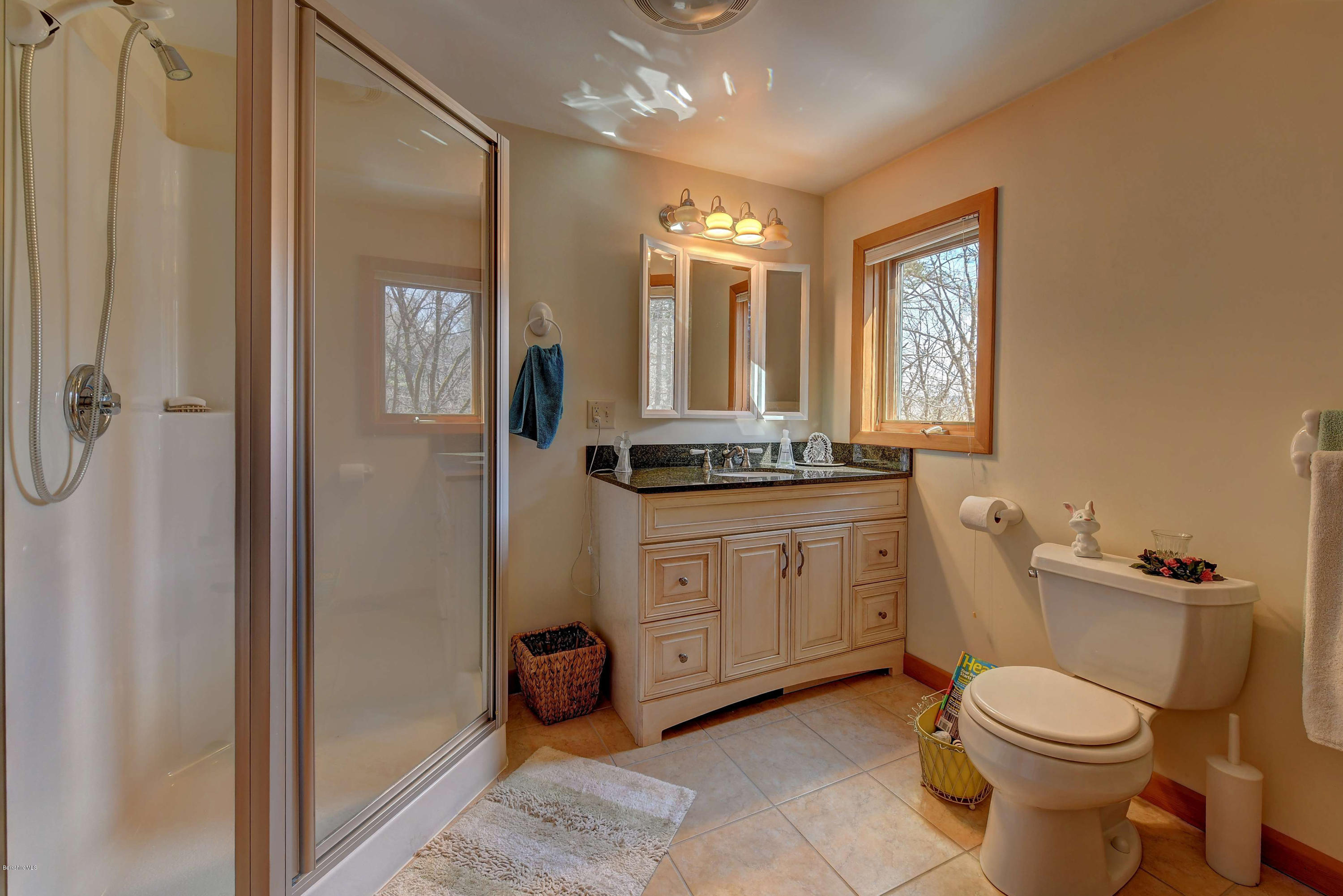17A Goose Pond Road Tyringham, MA 01238 - Photo 12 of 29 a bathroom with a toilet sink and mirror