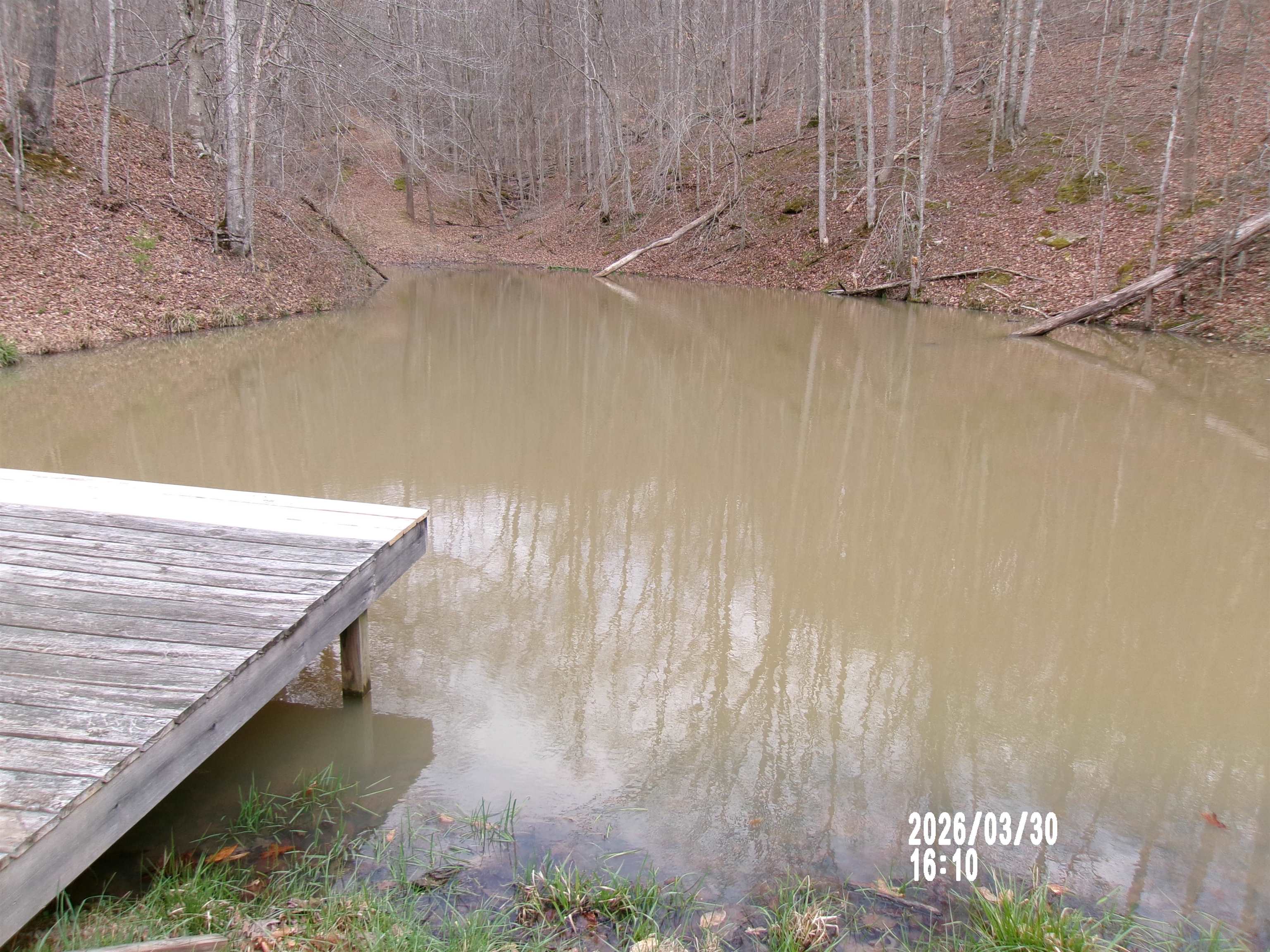 327 Mudlick Branch Road Louisa, KY 41230 - Photo 13 of 23