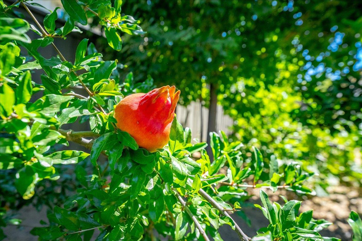 5700 Aguilar Road Rocklin, CA 95677 - Photo 57 of 65