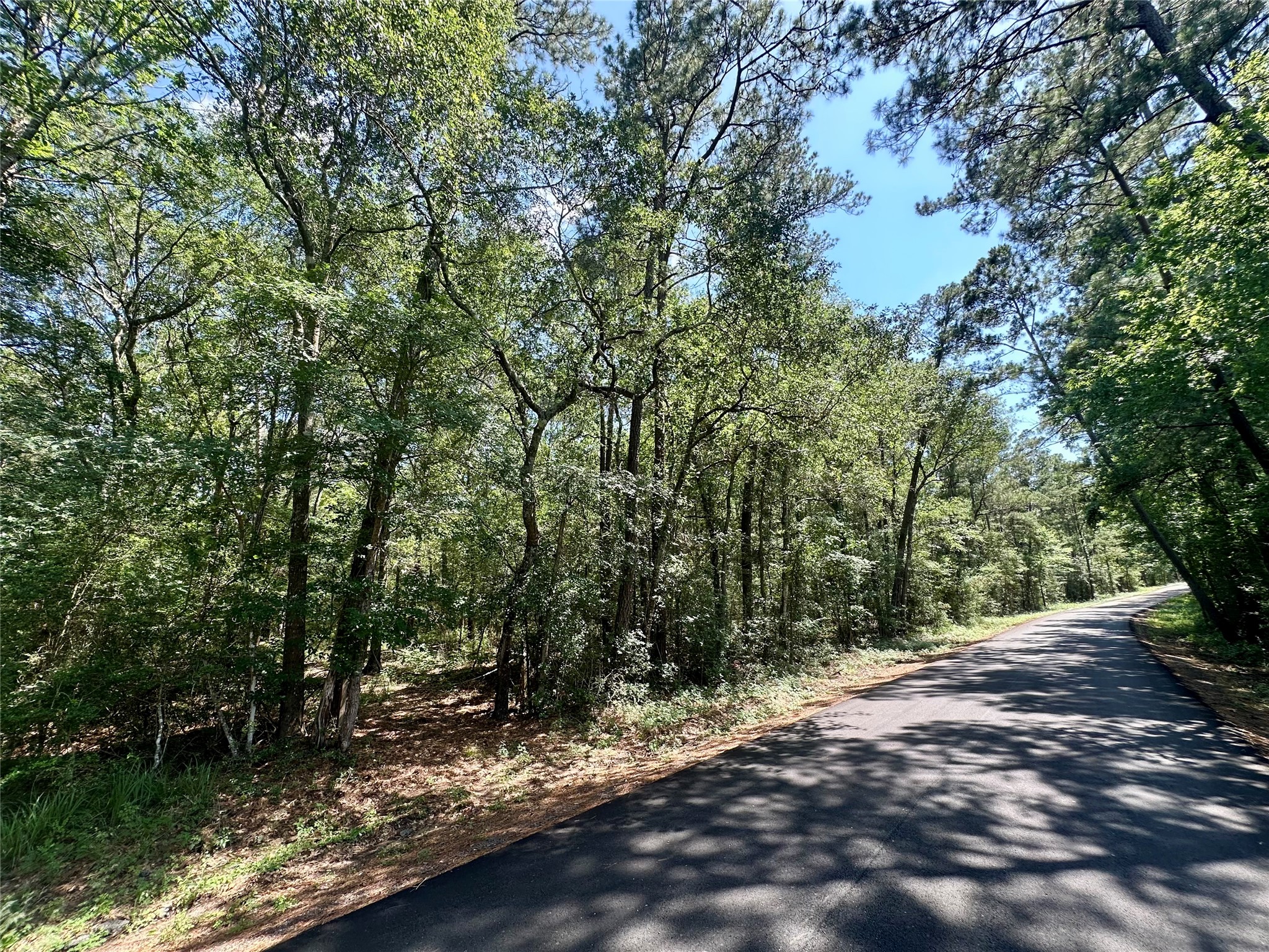 0 Taliaferro Road Richards, TX 77873 - Photo 2 of 5