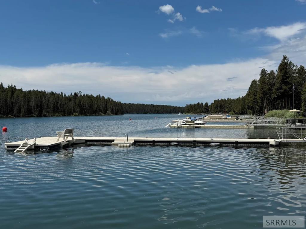 3776 Snake River Road Island Park, ID 83429 - Photo 46 of 70 Docks