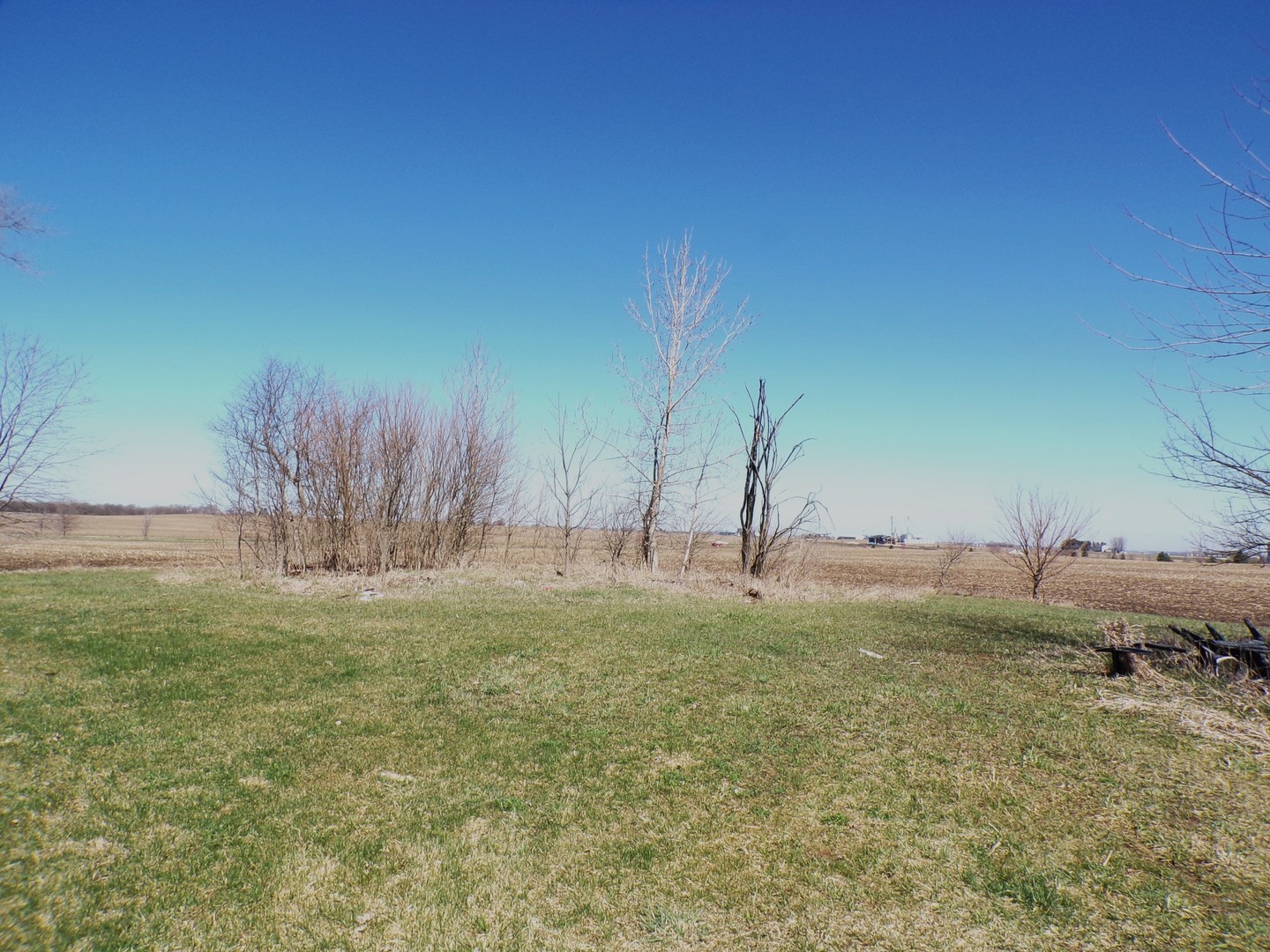 2959 North 3109th Road Seneca, IL 61360 - Photo 2 of 5 a backyard of a house
