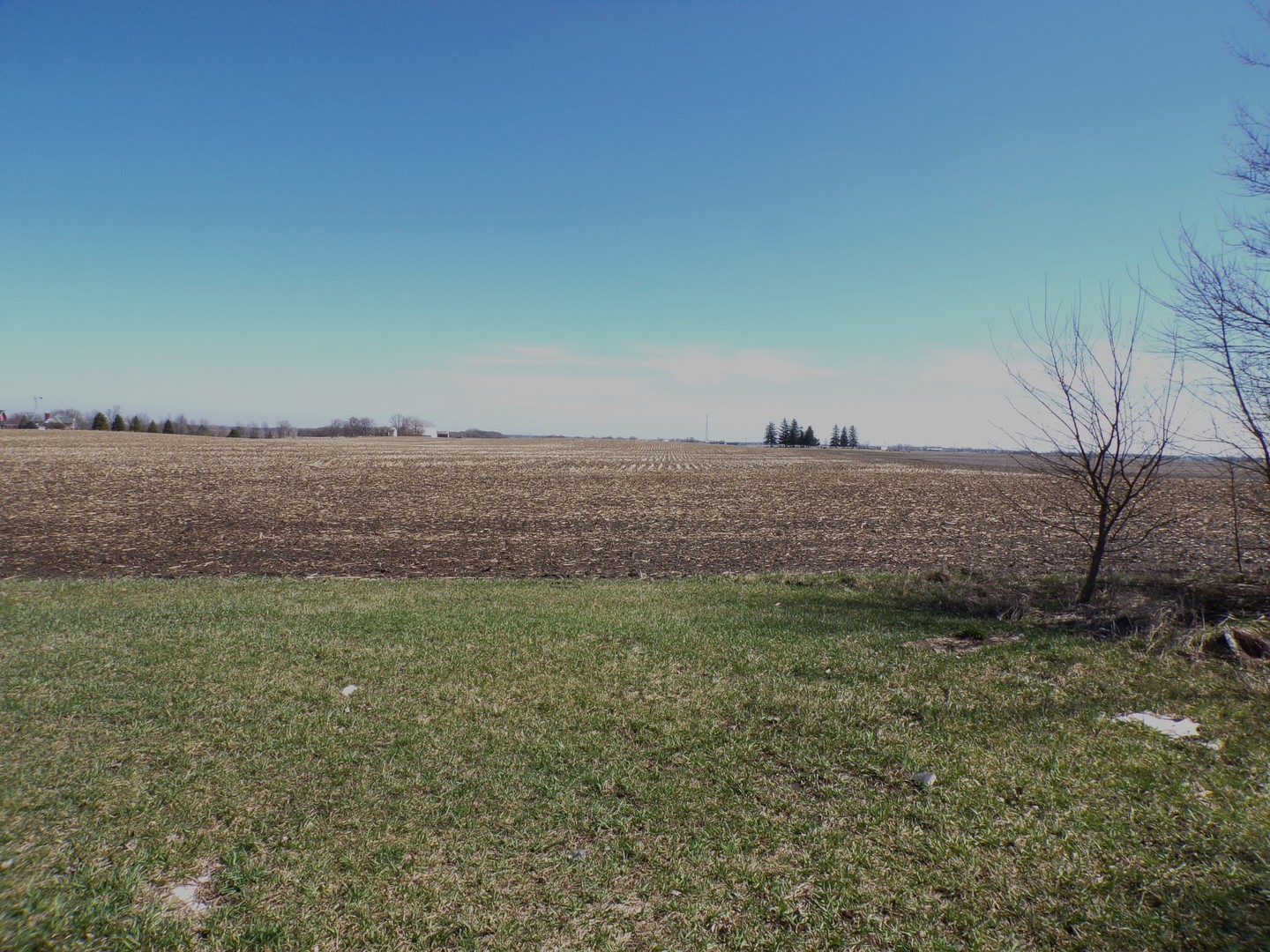 2959 North 3109th Road Seneca, IL 61360 - Photo 3 of 5 a view of an outdoor space and trees