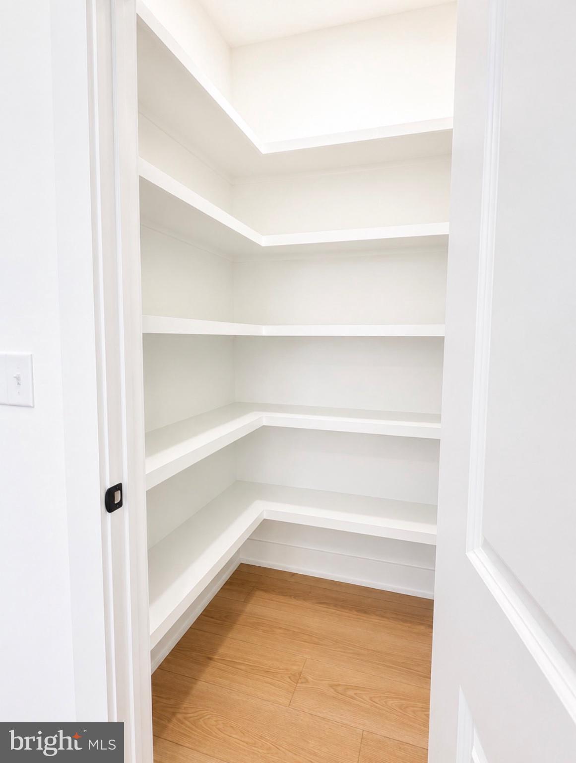 21963 Hardscrabble Road Georgetown, DE 19947 - Photo 19 of 43 Spacious, bright pantry for organization.