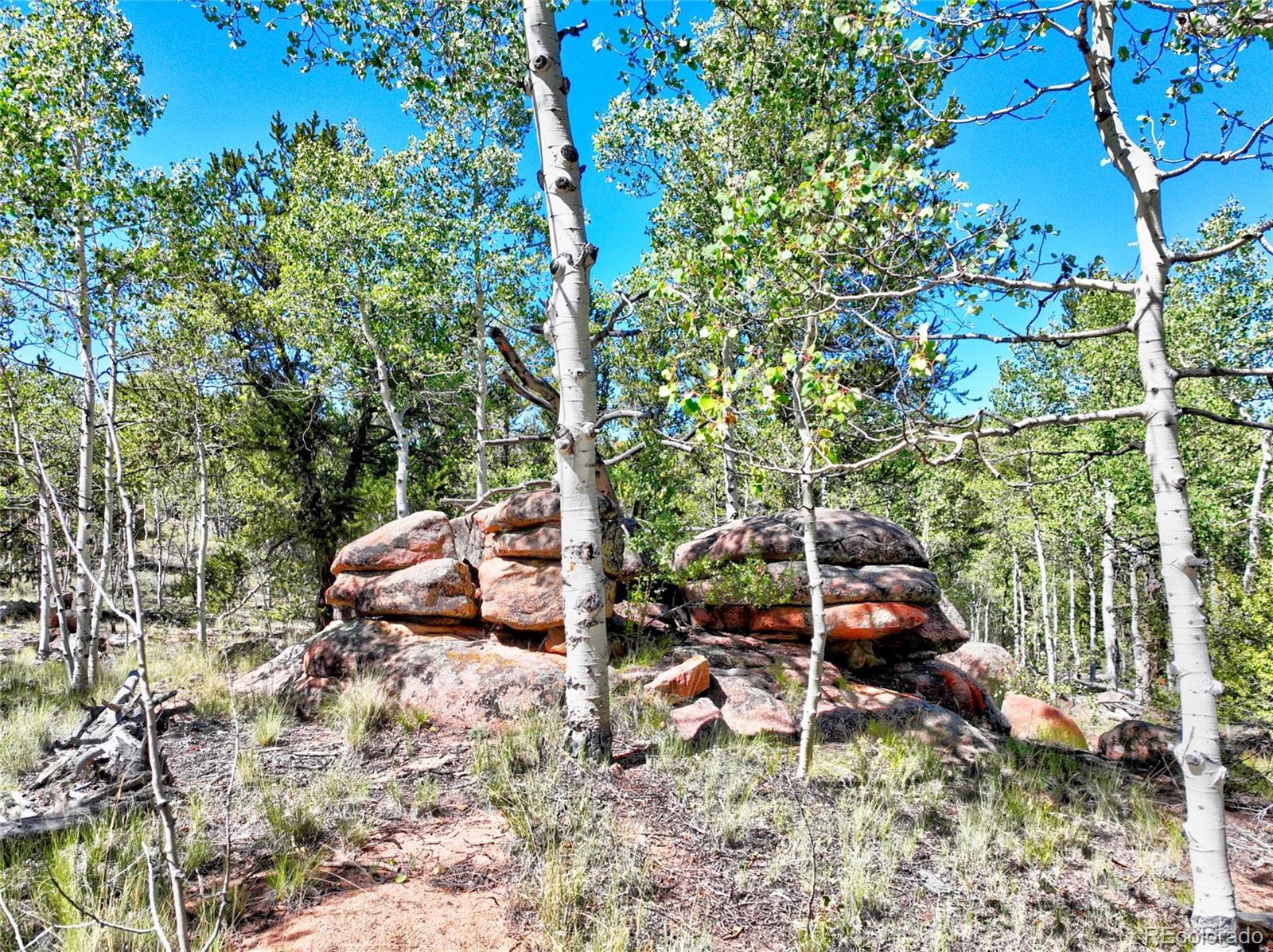 43 Pintail Road Como, CO 80432 - Photo 31 of 34 a backyard of a house with table and chairs